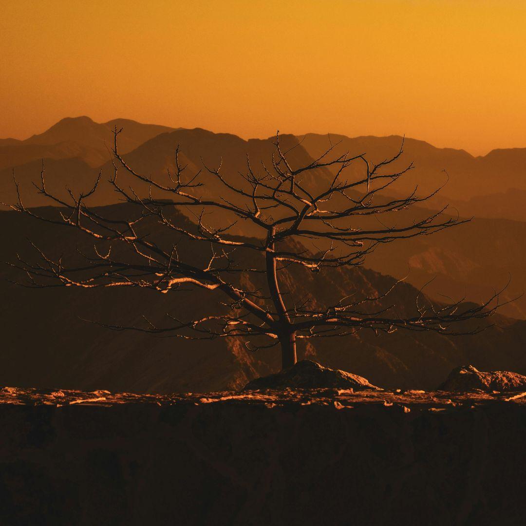 Ras Al Khaimah
